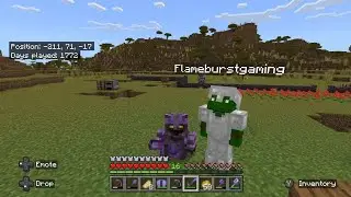 Realm Tour! HeHe SMP episode 1!