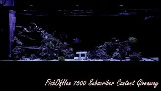 FishOfHex | 7500 Subscriber Contest Giveaway Entry