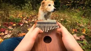 Kalimba Tabs and Tutorial - Señorita | Shawn Mendes, Camila Cabello