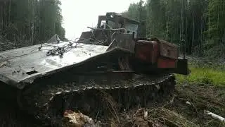 Уборка леса после расширения ЛЭП ,с использованием ТДТ 55