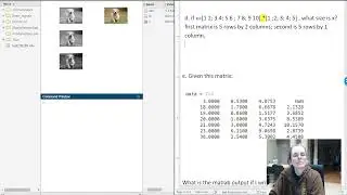 dot multiplication in Matlab elementwise