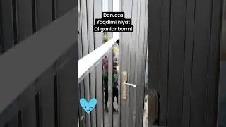 Darvoza zakaz berish. Niyat Qilganlar bolsa kamentaryada nomeriyizni yozib qoldiring.