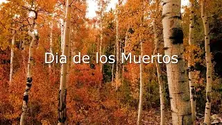 Dia de los Muertos, the party everyone is invited to