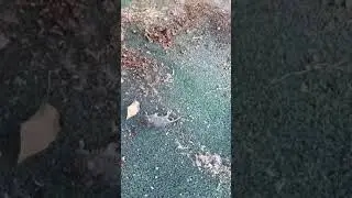труп на детской площадке