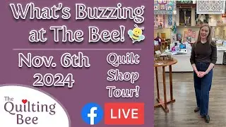 What’s Buzzing at The Bee 🐝  November 6th