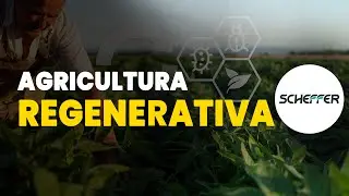 Regenerative Agriculture in Practice