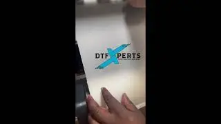 DTF How To Load film