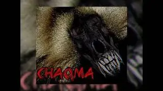Chaqma - Promo (2006) [Agressive Nu Metal / Old School]