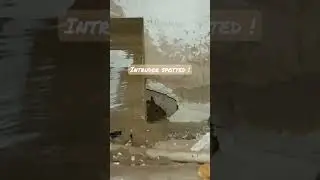 INTRUDER ON CAMERA !!