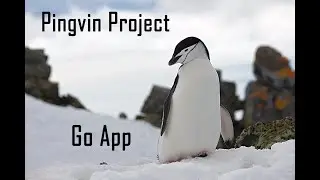 Pingvin Project 03 - Go App megírása