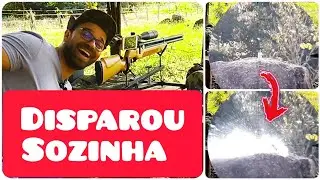 Behemoth PS R2 5.5 fires without anyone nearby!!!