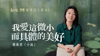 杨万里「小池」：在命運的宏大敘事之下，治愈我們的，往往是那些微小而具體的美好。【意公子重讀語文課本】