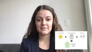 FAS Three Minute Thesis (3MT) 2021 | Laura Whelan