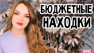 НОВЫЕ БЮДЖЕТНЫЕ АРОМАТЫ С OZON И WB | НЕДОРОГОЙ ПАРФЮМ С КАЧЕСТВЕННЫМ ЗВУЧАНИЕМ НА ЛЕТО И ОСЕНЬ