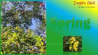 SPRING vocabulary for beginners (Vocabulario de la Primavera en inglés)