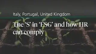 The ‘S’ in ‘ESG’ and how HR can comply