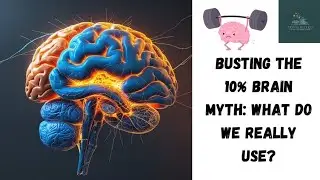 Meninges of Brain: Busting the 10% 