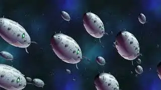 Cotton Fantasy trailer
