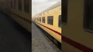 #short