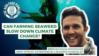 Can farming seaweed slow down climate change?