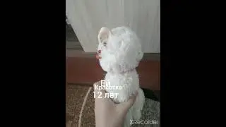 всё про "БЛИССУ". под песню ЛюБиМкА!