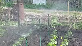 Ороситель создающий туман