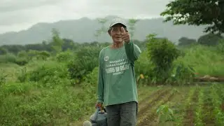 City Stories: Growing resilience in Quezon City | #GreenJobsNow