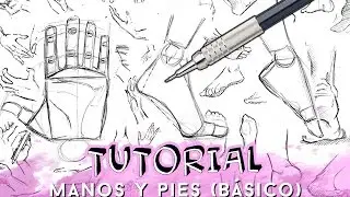 How to DRAW HANDS & FEET (Basic level)