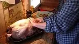 Thanksgiving Day 3