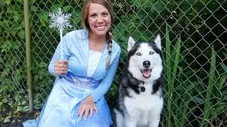 Frozen Elsa & Sky's Morning Routine!