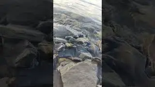 Иртыш