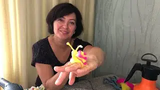 Кольцо - улитка из валяной шерсти мастеркласс от Iren Reni