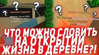 ЧТО СЛОВИТЬ НА ОТКРЫТИИ НОВОГО ПРОЕКТА ЖИЗНЬ В ДЕРЕВНЕ В SAMP!
