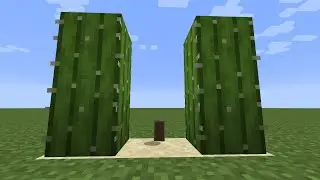 Will the shield save me ?