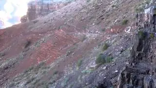 R2R #1 - South Rim