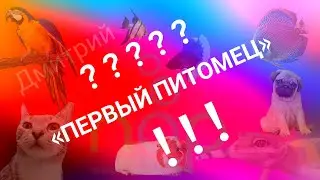 Первый домашний питомец.
