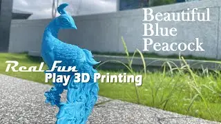 【跟著RealFun動起來!!】動人湖水藍孔雀3D printing blue peacock