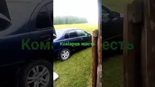 комаров жесть