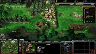 Warcraft 3: TFT [Custom] 