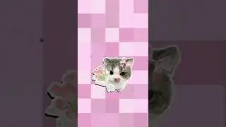 Minha rotina da noite 