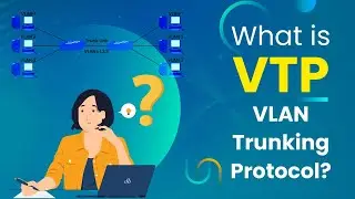 What is VTP (VLAN Trunking Protocol)? | VTP Versions | VTP Modes | VTP Advertisement - PyNet Labs