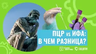 В чем РАЗНИЦА МЕЖДУ ПЦР и ИФА анализом на коронавирус?