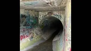 (Free) Nujubes x Adult Swim type beat - Tunnel Vision