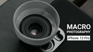 Macro Photography on iPhone - SANDMARC