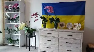 НАКОНЕЦ-ТО ПРОДАЛА СЕГОДНЯ