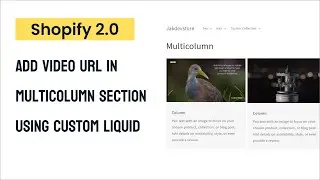 Add custom liquid to multicolumn | Add video url in multicolumn Shopify