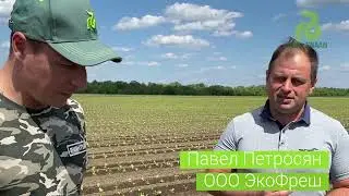 Интервью компании Райк Цваан с руководителем ООО ЭкоФреш Павлом Петросяном.