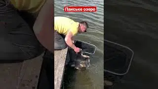 Панське озеро, риболовля