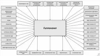 11.25.2 Подробное разъяснение. Гиппокамп. Часть вторая
