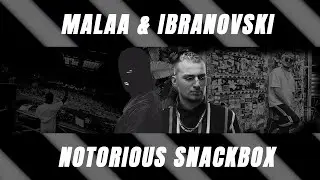 Malaa Notorious VS Ibranovski Snackbox (Mashup)